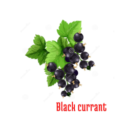 Alpha Lipoic Acid Tablets Image