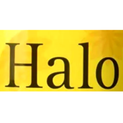 Shampoo Image