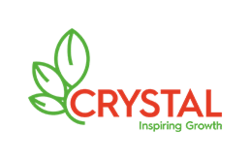 Mustard Seed Image