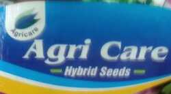 Turnips Seed Image
