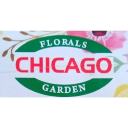 Marigold Mix Seeds Image