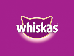 Dry Cat Food Image
