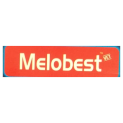 Meloxicam Injection IP Image