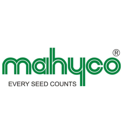 Mahy 8 Hybrid Bottle Gourd Seeds