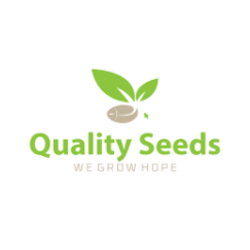 Moong Seeds Image