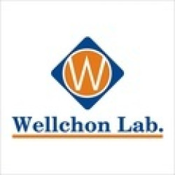 Cfellow-Cv Image