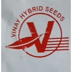 Cauliflower Seed Image