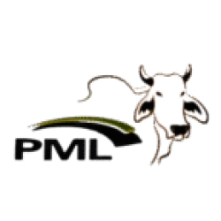 Livmind Image