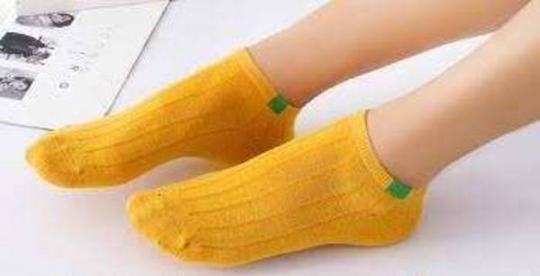 Socks Image