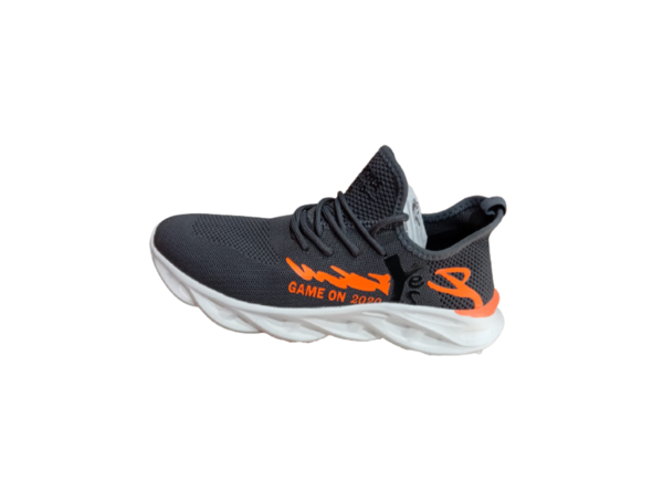 Sports Shoes Image