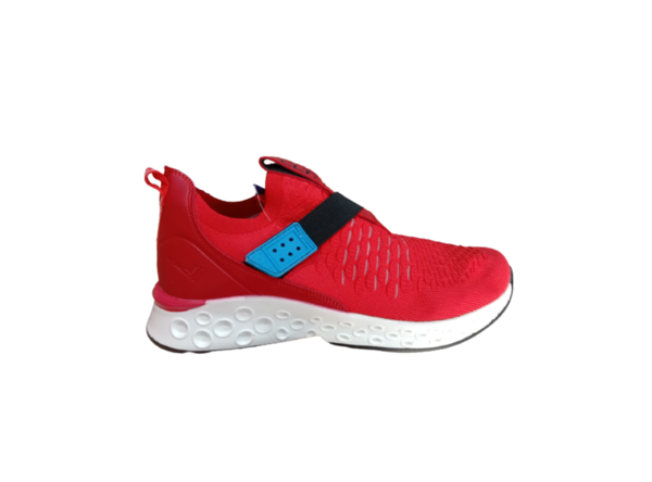 Sports Shoes Image
