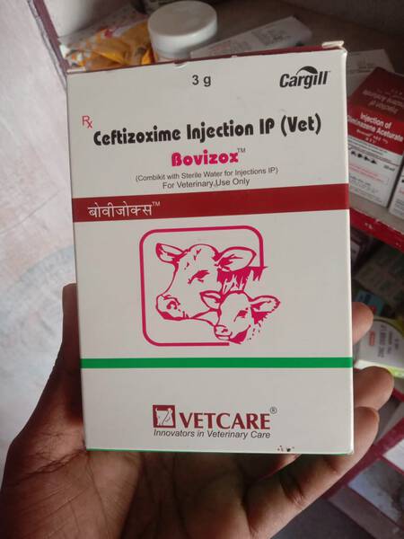 Veterinary Injection - VETCARE