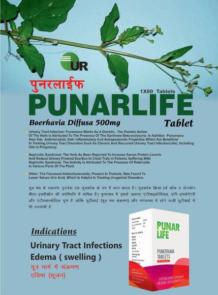 Punarnava Tablets - Uniray Life Science