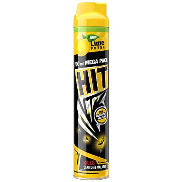 Mosquito & Fly Killer Spray - HIT