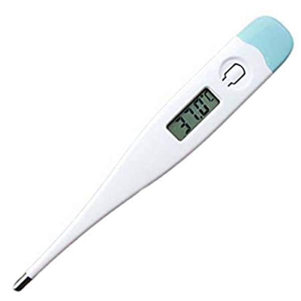 Digital Thermometer - SS Enterprises