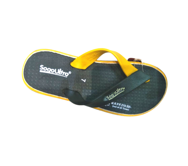 Slippers & Flip Flops (Slipper & Flip Flops) - Sogoultra