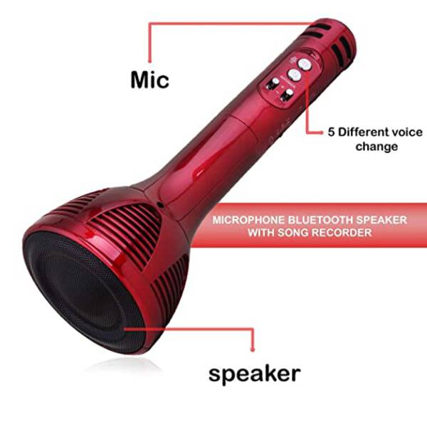 Microphone - iNext