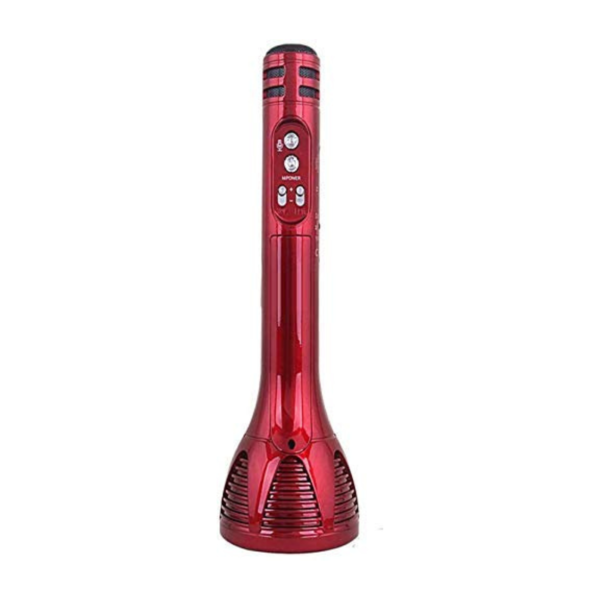 Microphone image 2