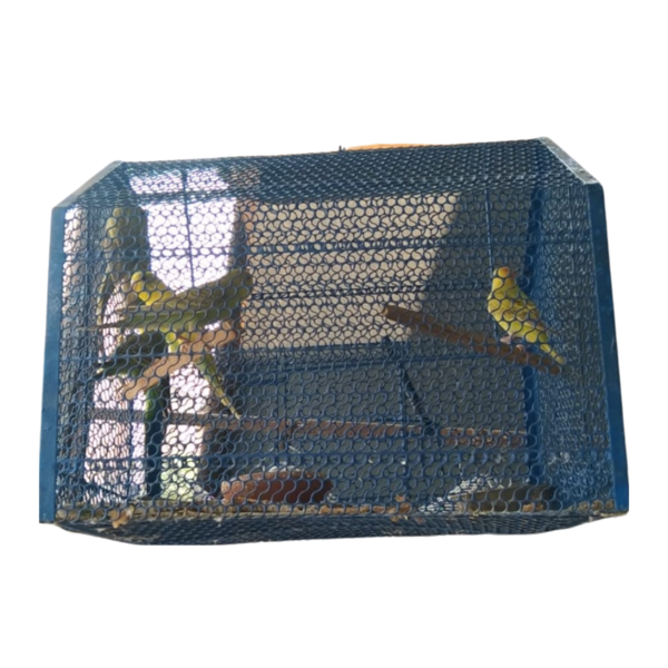 Birds Cage Image