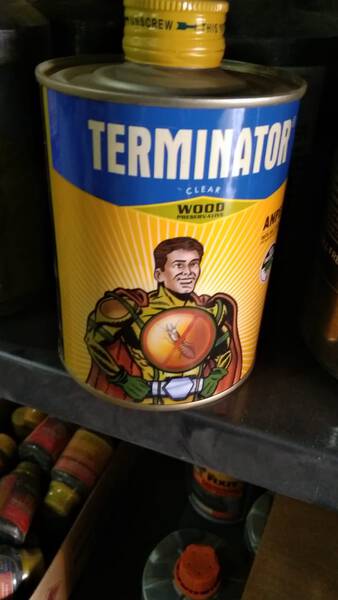 Terminator Clear - Pidilite
