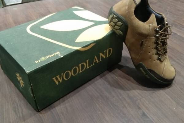 Casual Shoes - Woodland