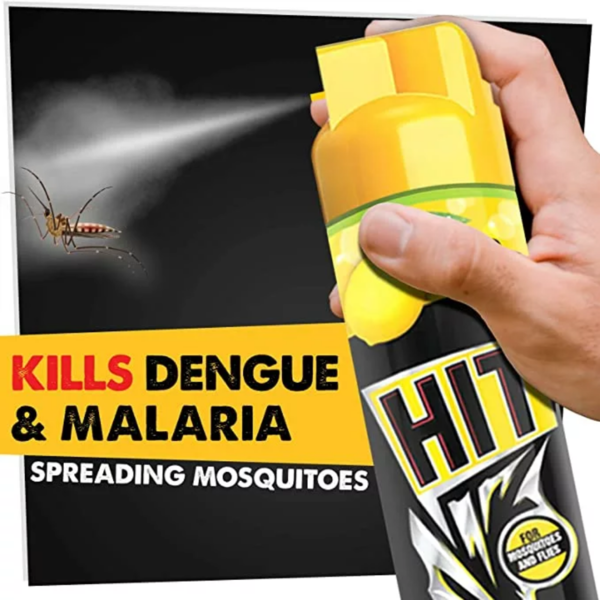 Mosquito & Fly Killer Spray - HIT