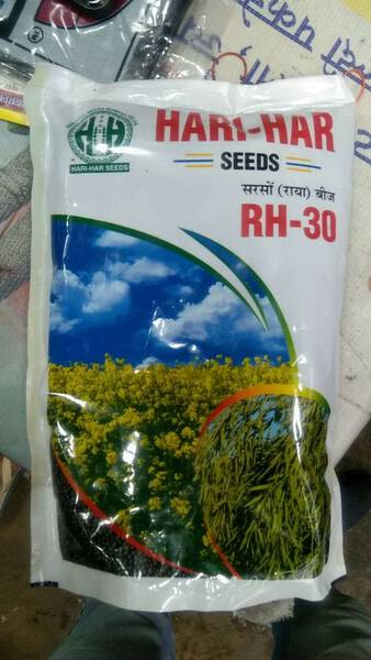 Mustard Seed - Hari-Har Seeds Bumper Yields