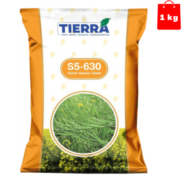 Mustard Seed - Tierra Seeds