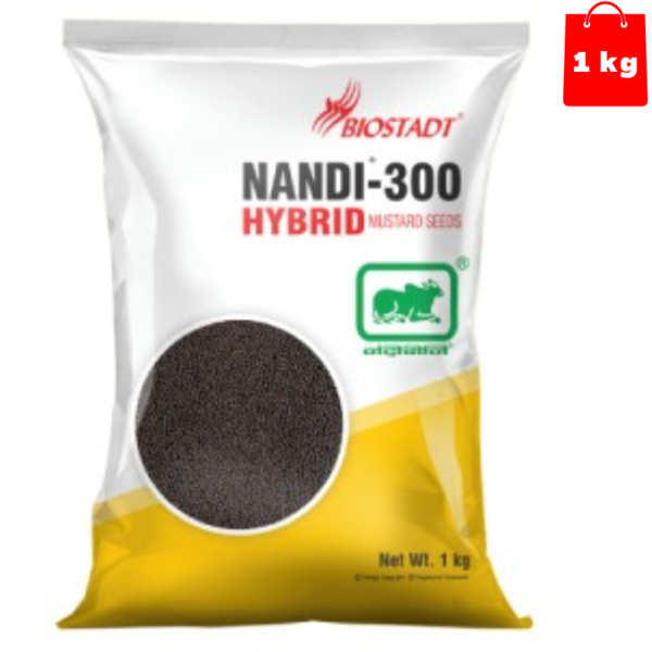 Mustard Seed-Image
