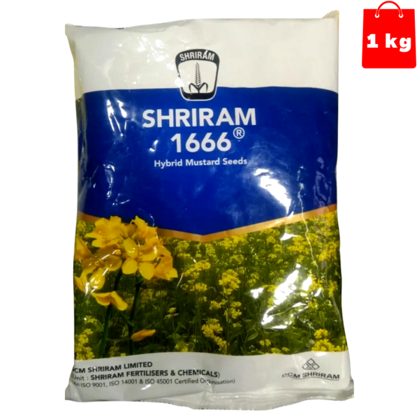 Shriram 1666 Hybrid Mustard Seeds 1kg – High Yield Sarson Beej Image
