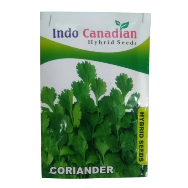 Coriander Seed - Indo Canadian