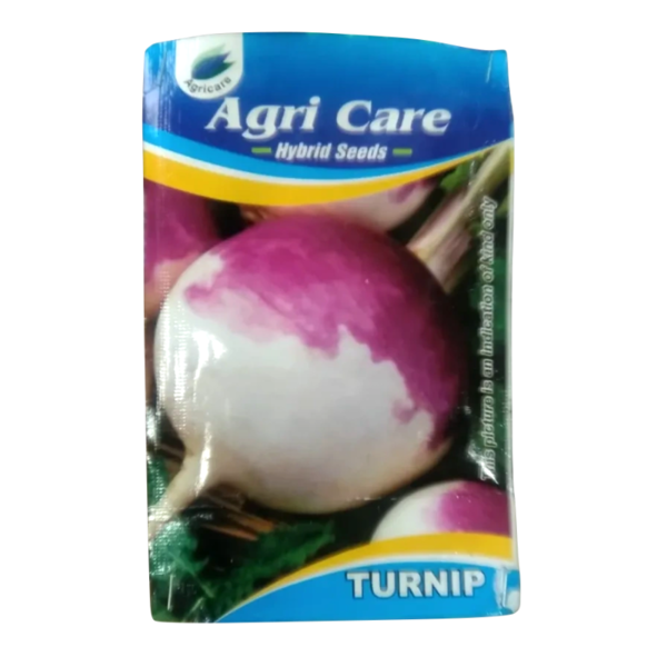 Turnips Seed - Agri Care