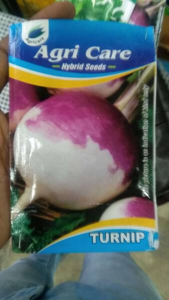 Turnips Seed - Agri Care
