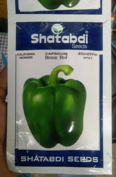 Capsicum Seeds - Shatabdi Seeds