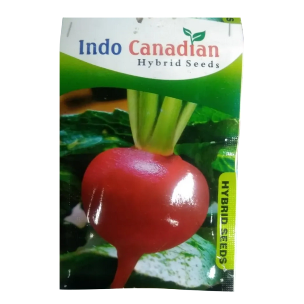 Radish Seed-Image