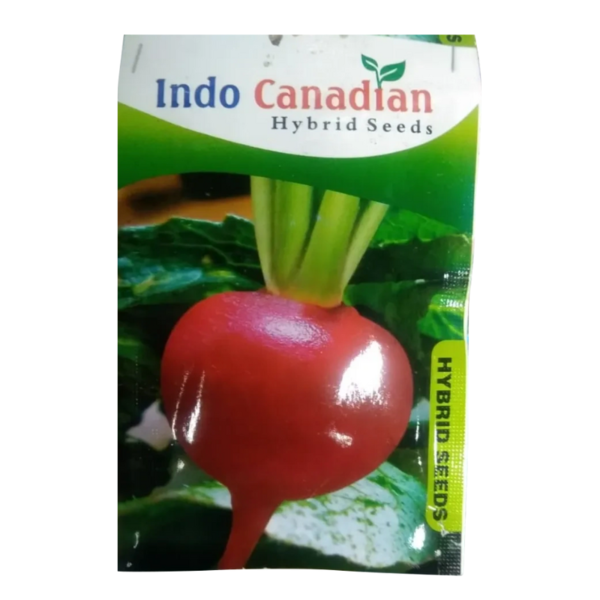 Radish Seed - Indo Canadian