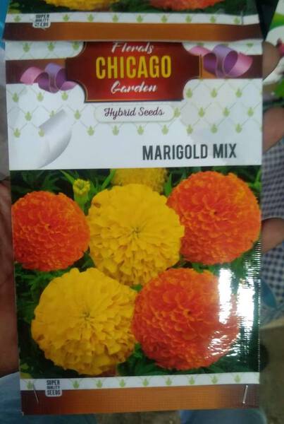 Marigold Mix Seeds - Chicago