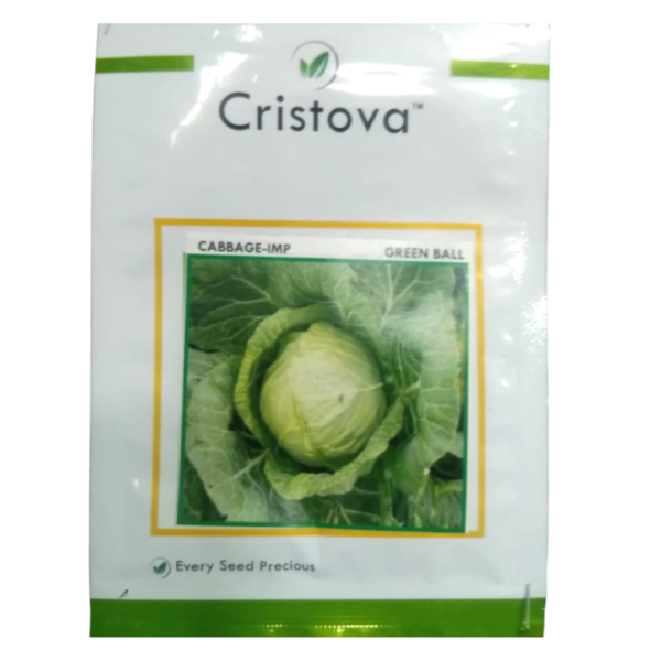 Cabbage Seed - Cristova