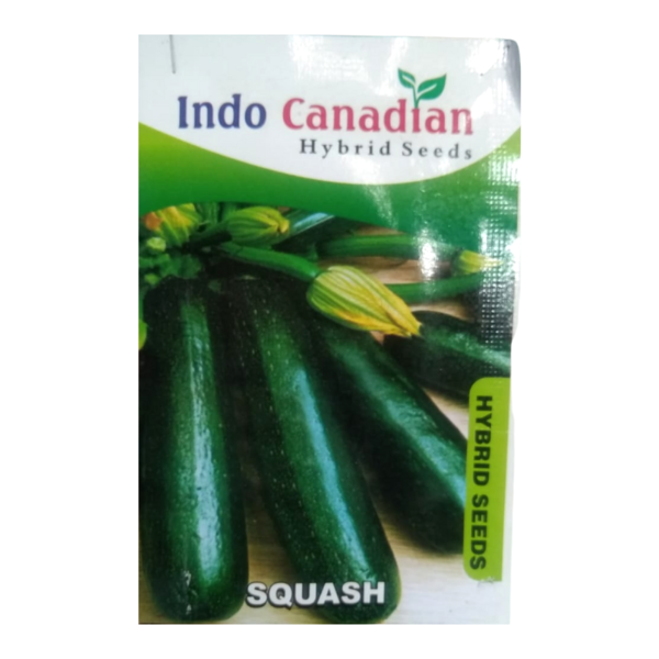 Cucumber Seed - Indo Canadian