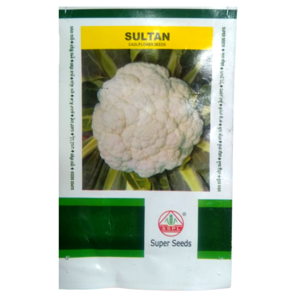 Cauliflower Seed-Image