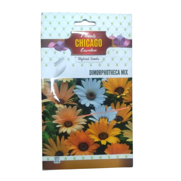 Dimorphotheca Seed - Chicago