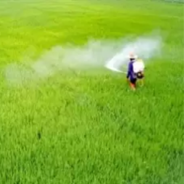 Spray Pesticides - Kissan Suraksha