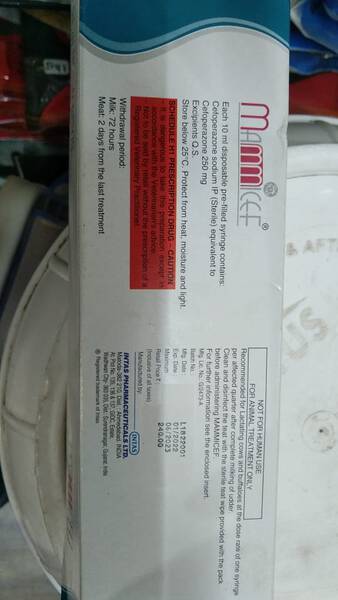 Mammicef - Intas Pharmaceuticals Ltd