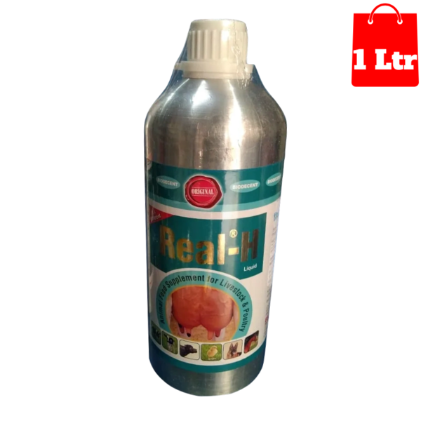 Real-H Liquid-Image