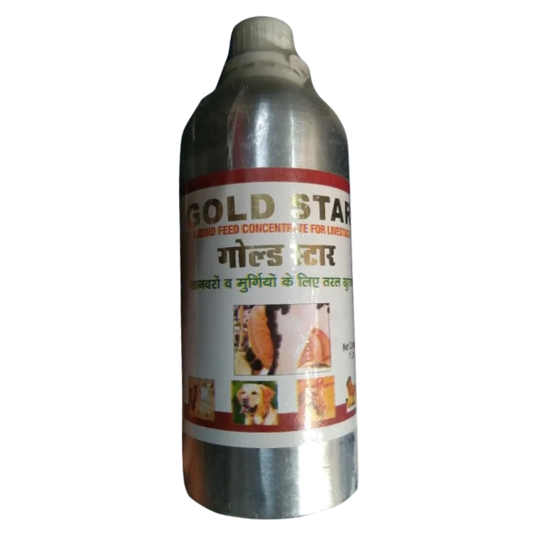 Gold Star Feed-Image