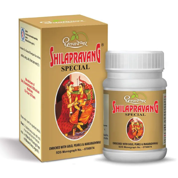 Shilapravang Special - Dhootapapeshwar