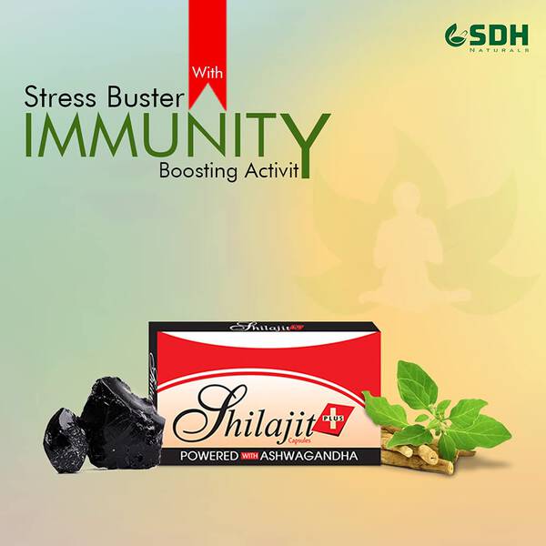 Shilajit Capsule - Shree Dhanwantri Herbals