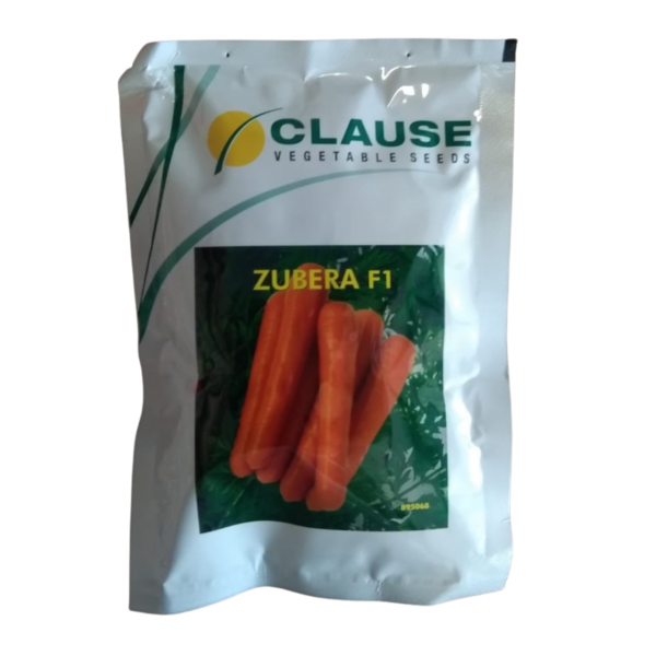 Carrot Seed - Clause