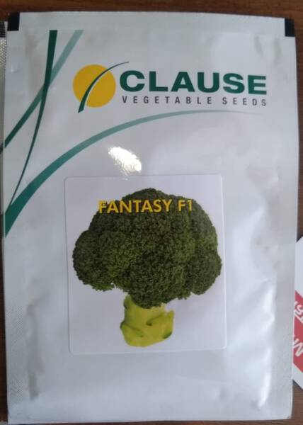 Broccoli Seed - Clause