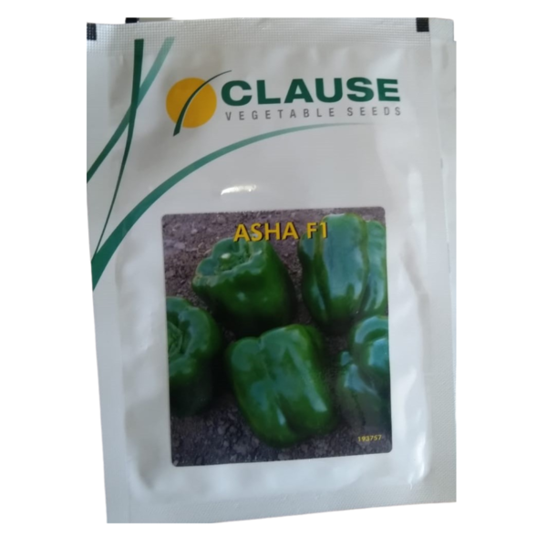 Capsicum Seeds - Clause
